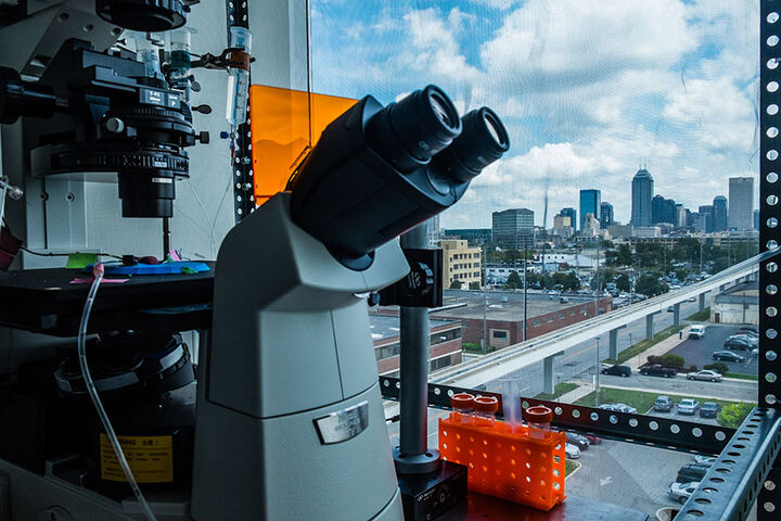 Pathology lab equipment sits in front of a window viewing a city skyline.